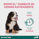 Vermífugo Drontal Puppy Suspensão 20ml