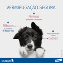 Vermífugo Milbemax C Cães até 5kg 2 comprimidos