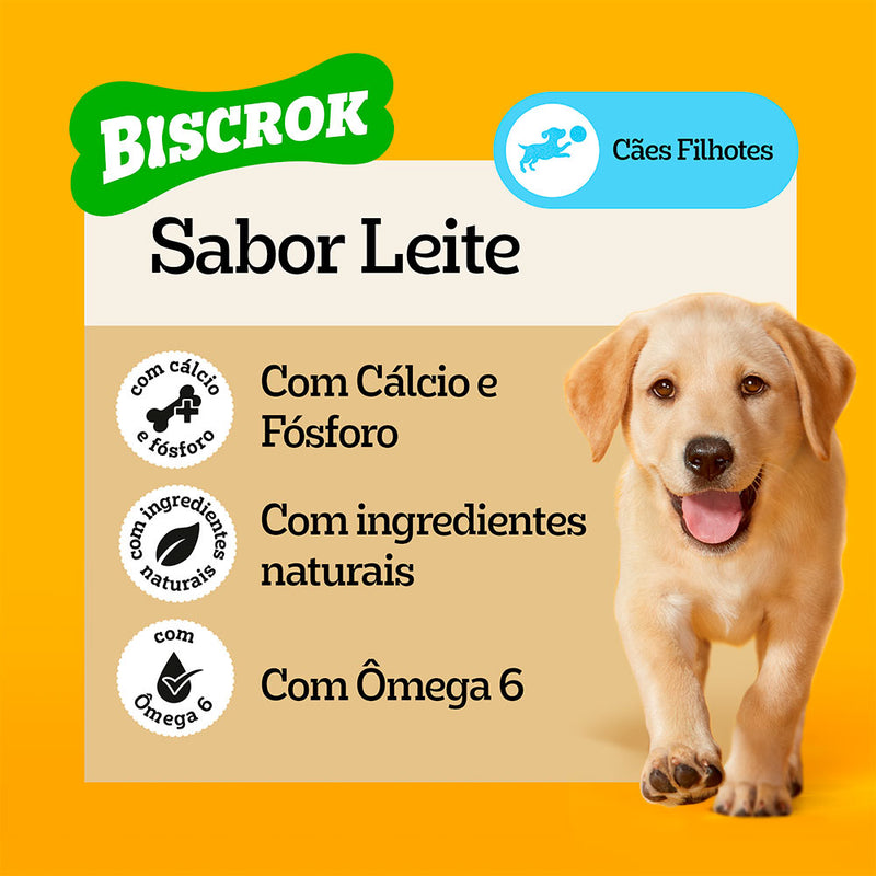 BISCROCK FILHOTES 300G