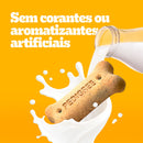 BISCROCK FILHOTES 300G