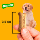 BISCROCK FILHOTES 300G