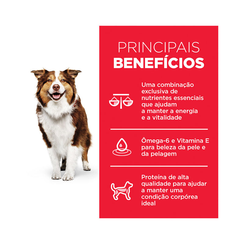 Ração Science Diet Canino Adulto 7+, 6kg