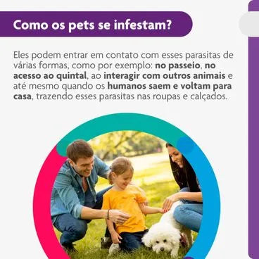 Bravecto Antipulgas e Carrapatos 20 a 40 kg Cães 1000mg 1 comprimido