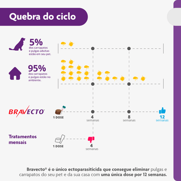 Bravecto Antipulgas e Carrapatos 20 a 40 kg Cães 1000mg 1 comprimido