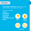 Antipulgas Bravecto Plus Gatos 1,2 a 2,8 kg 0,4 ml