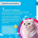 Antipulgas Bravecto Plus Gatos 6,25 a 12,5 kg 1,79 ml