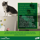 Antipulgas Credeli 12mg Gatos 0,9 a 2kg 1 comprimido