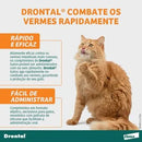 Drontal Vermicida para Gatos Elanco 4 comprimidos