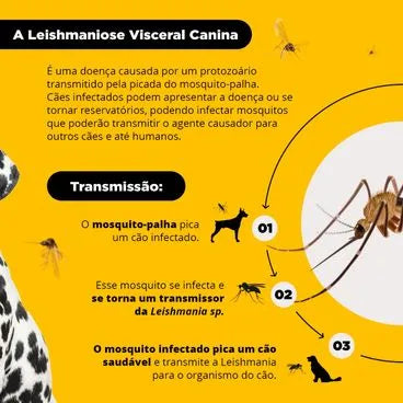 Coleira Antiparasitária Scalibor Cães Grandes (G)