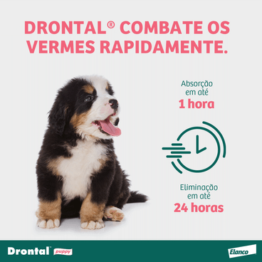 Vermífugo Drontal Puppy Suspensão 20ml