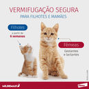 Vermífugo Milbemax G Gatos 2 a 8kg 2 Comprimidos